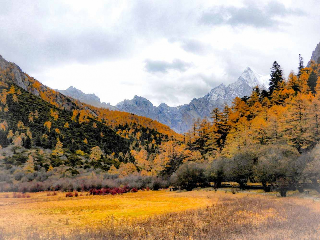 scenic-view-mountains-against-sky-autumn (1).jpg scenic-view-mountains-against-sky-autumn (1).jpg